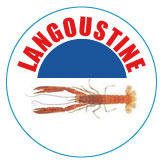 Langoustine