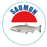 Saumon