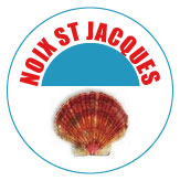 Noix St Jacques